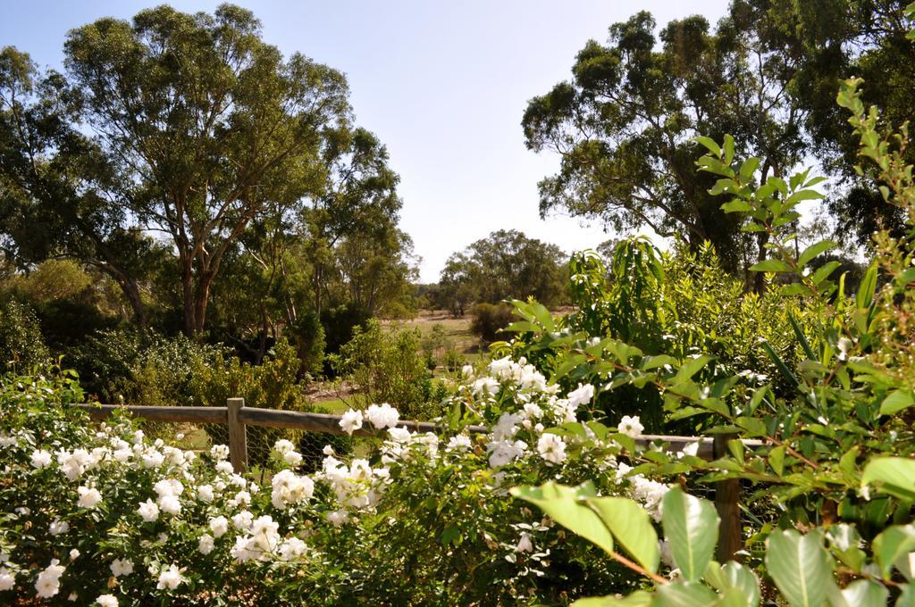 Guildford River Retreat Perth Esterno foto